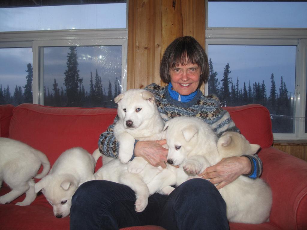 Arctic Chalet Resort Inuvik Kültér fotó