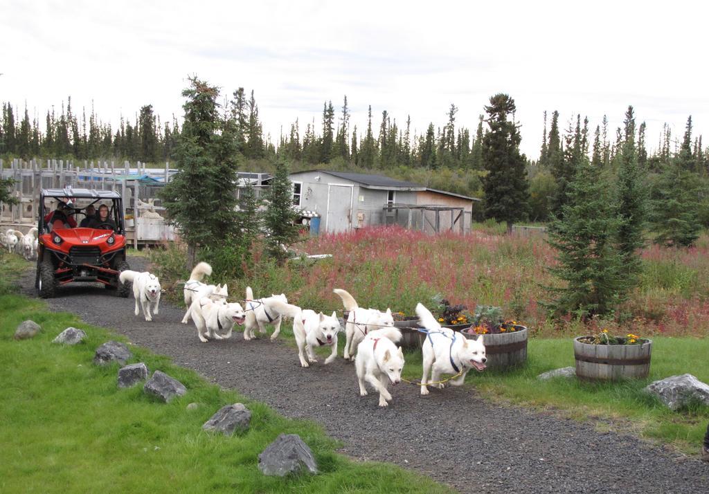 Arctic Chalet Resort Inuvik Kültér fotó
